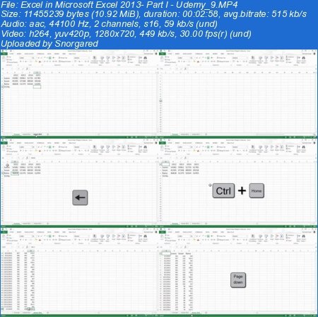 Excel in Microsoft Excel 2013: Part I