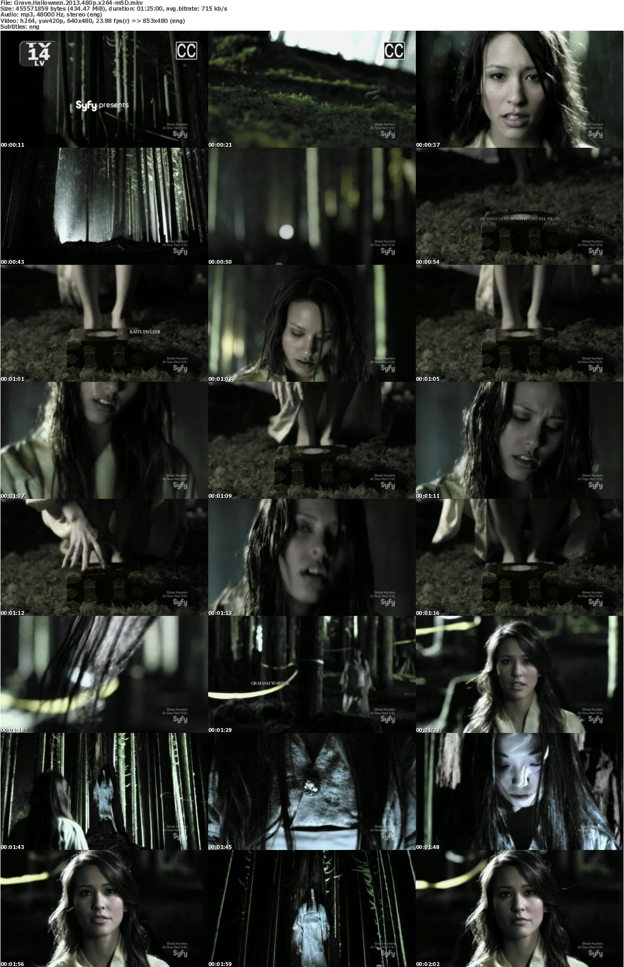 Grave Halloween 2013 480p x264-mSD