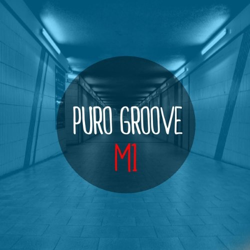 VA - Puro Groove M1 (2015)