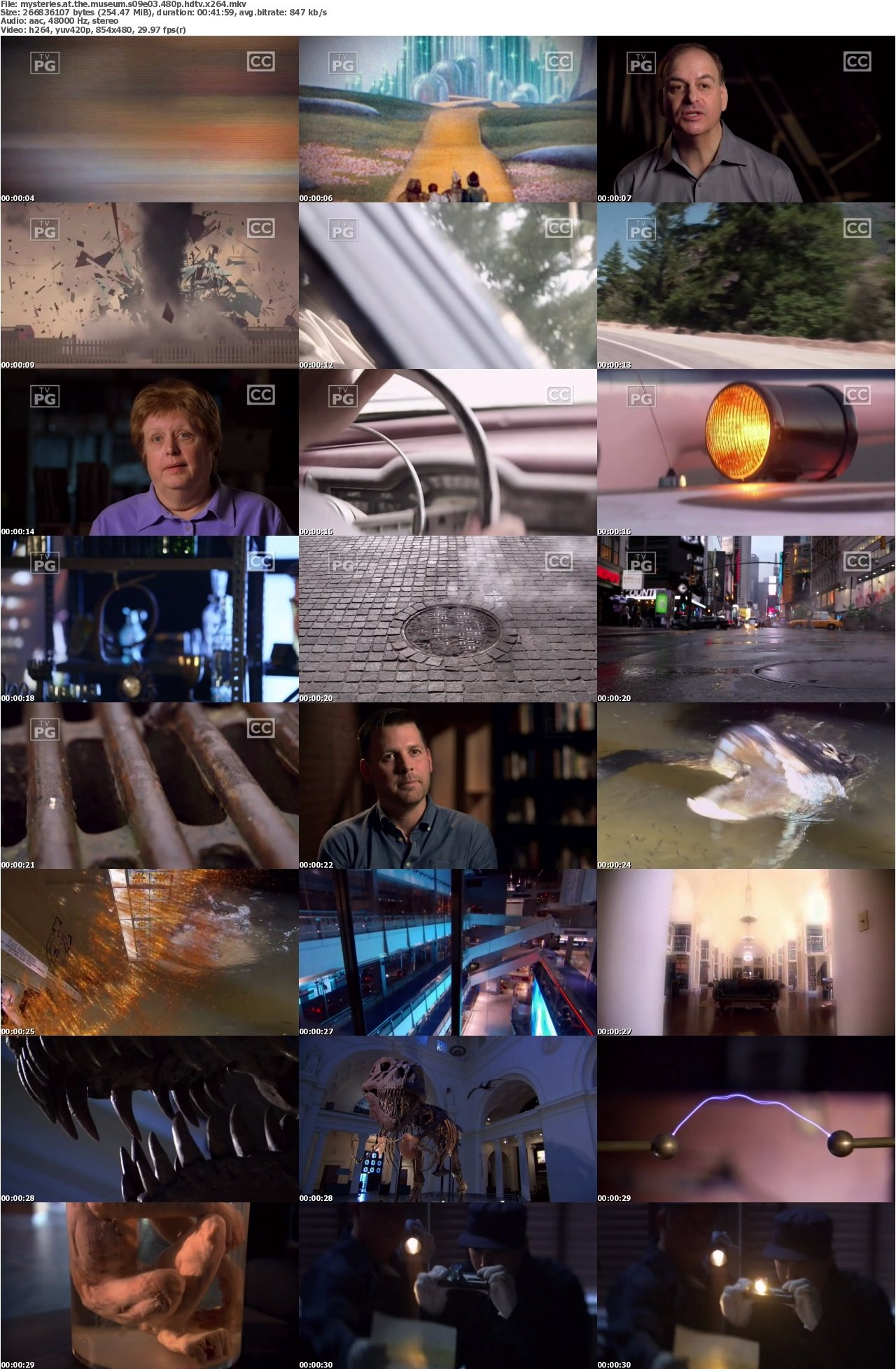 Mysteries at the Museum S09E03 480p HDTV x264