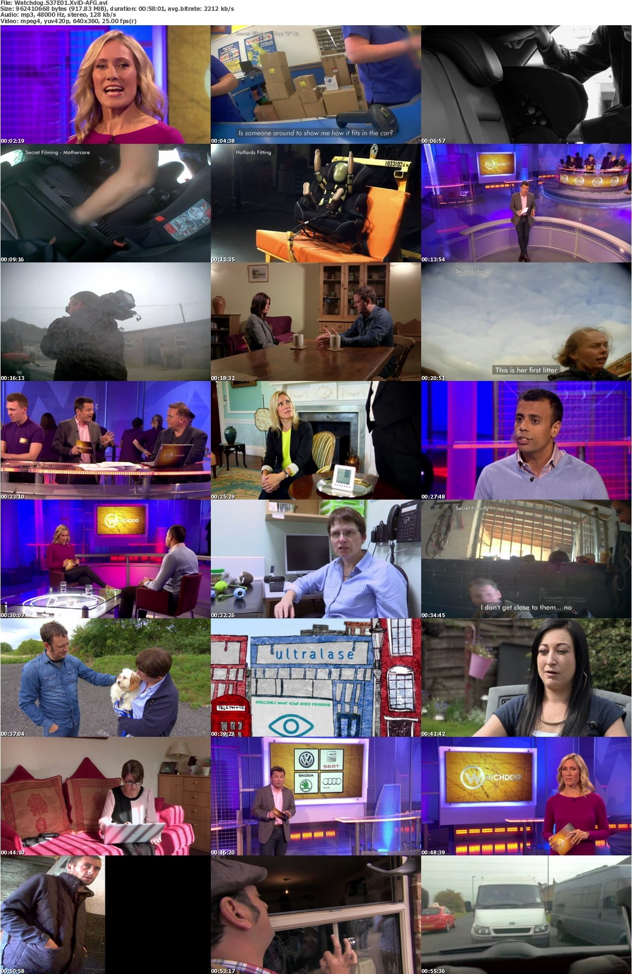 Watchdog S37E01 XviD-AFG