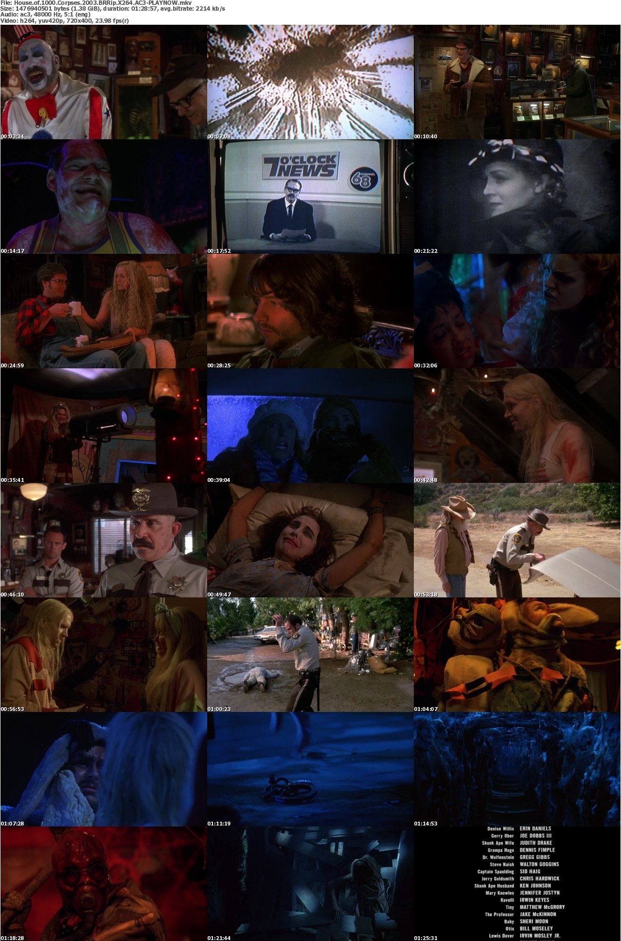 House of 1000 Corpses 2003 BRRip X264 AC3-PLAYNOW