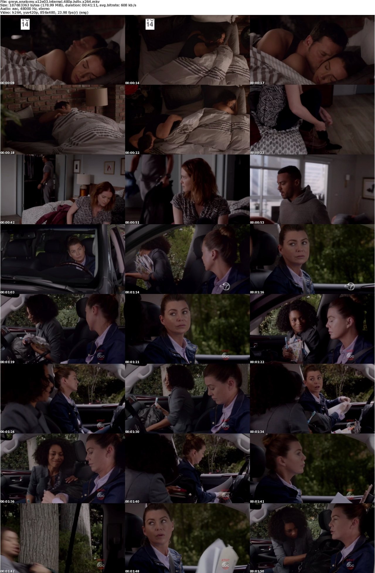 Greys Anatomy S12E03 INTERNAL 480p HDTV x264