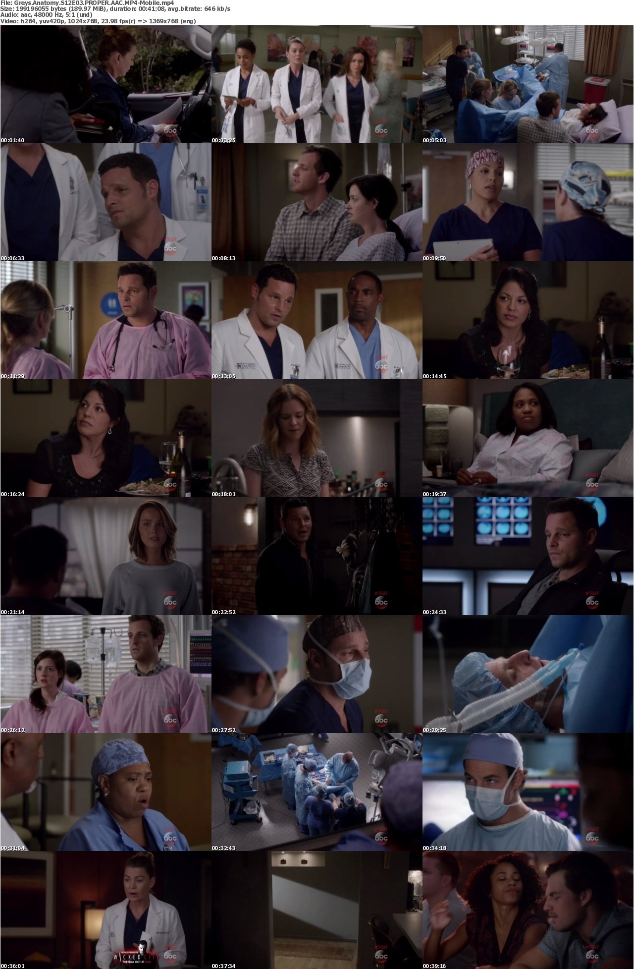 Greys Anatomy S12E03 PROPER AAC MP4-Mobile