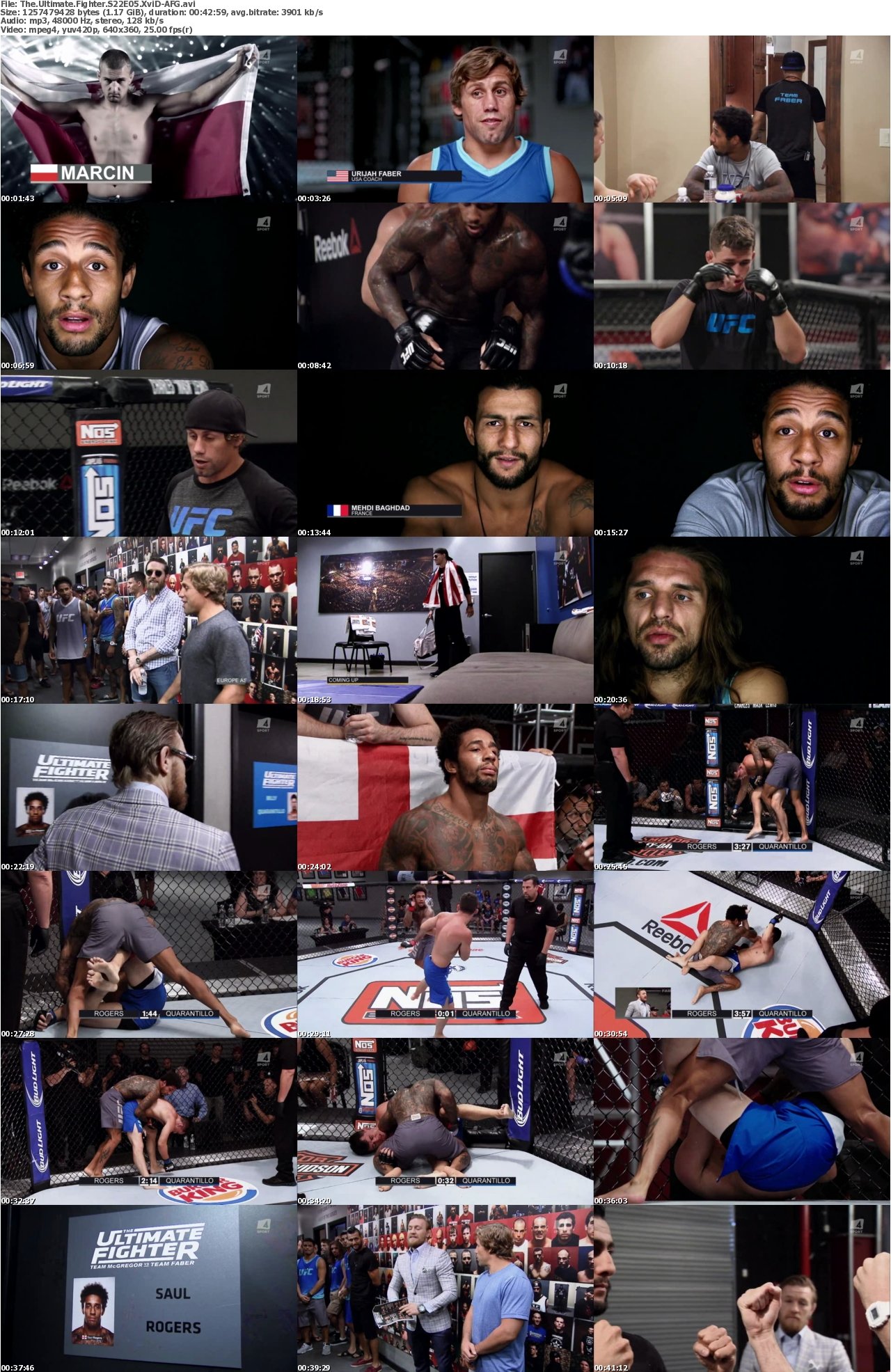 The Ultimate Fighter S22E05 XviD-AFG