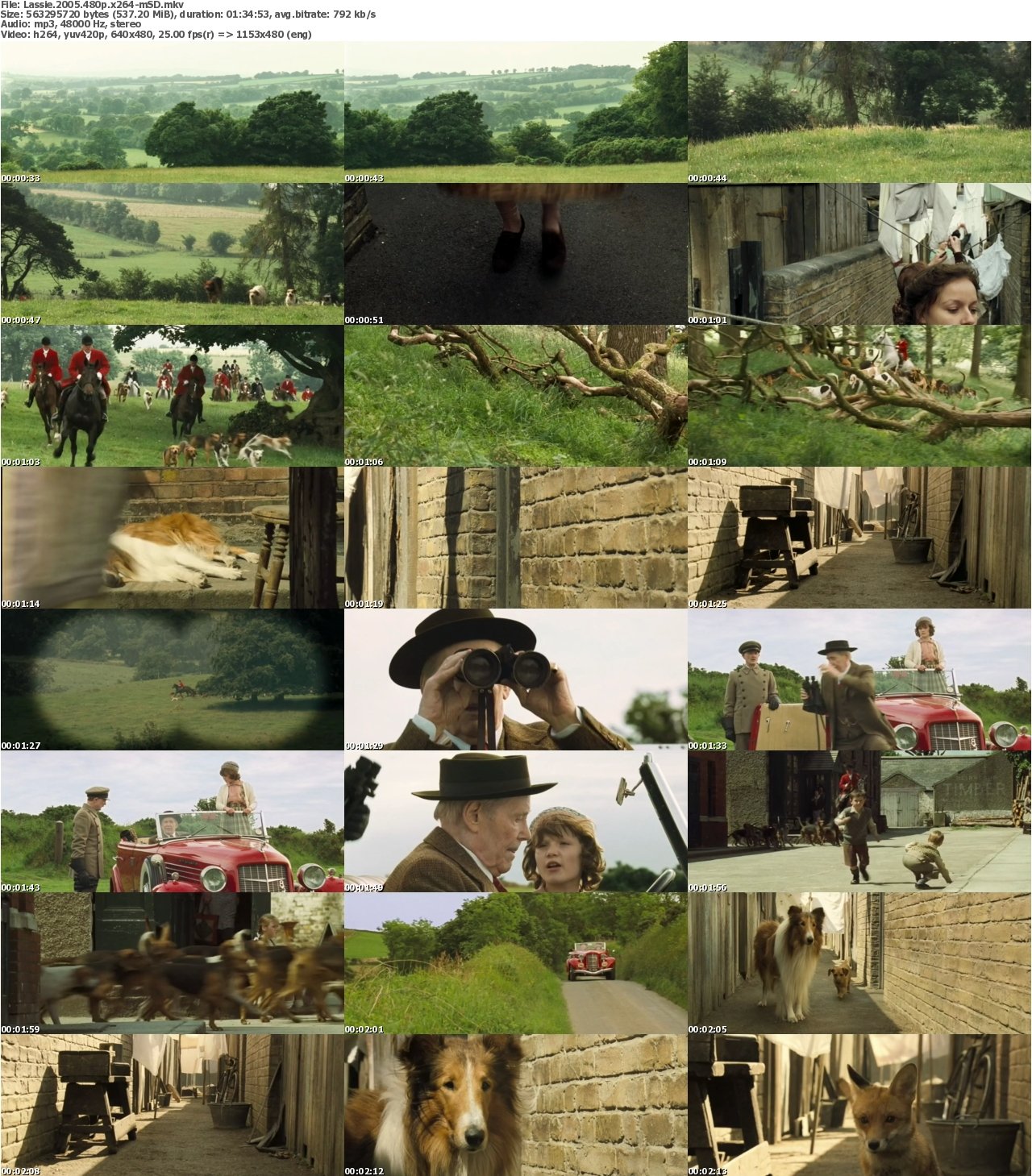 Lassie 2005 480p x264-mSD