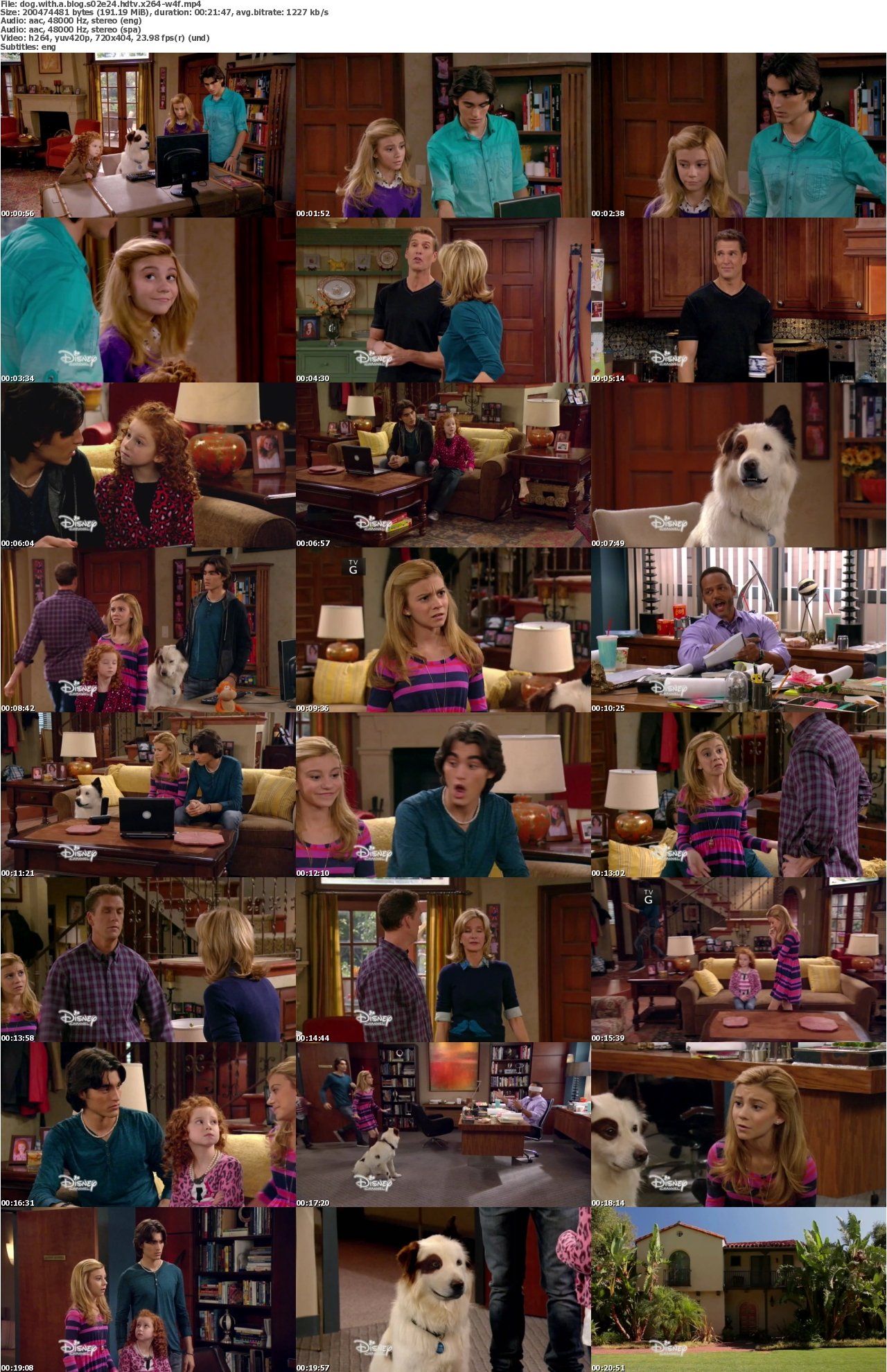 Dog With a Blog S02E24 HDTV x264-W4F