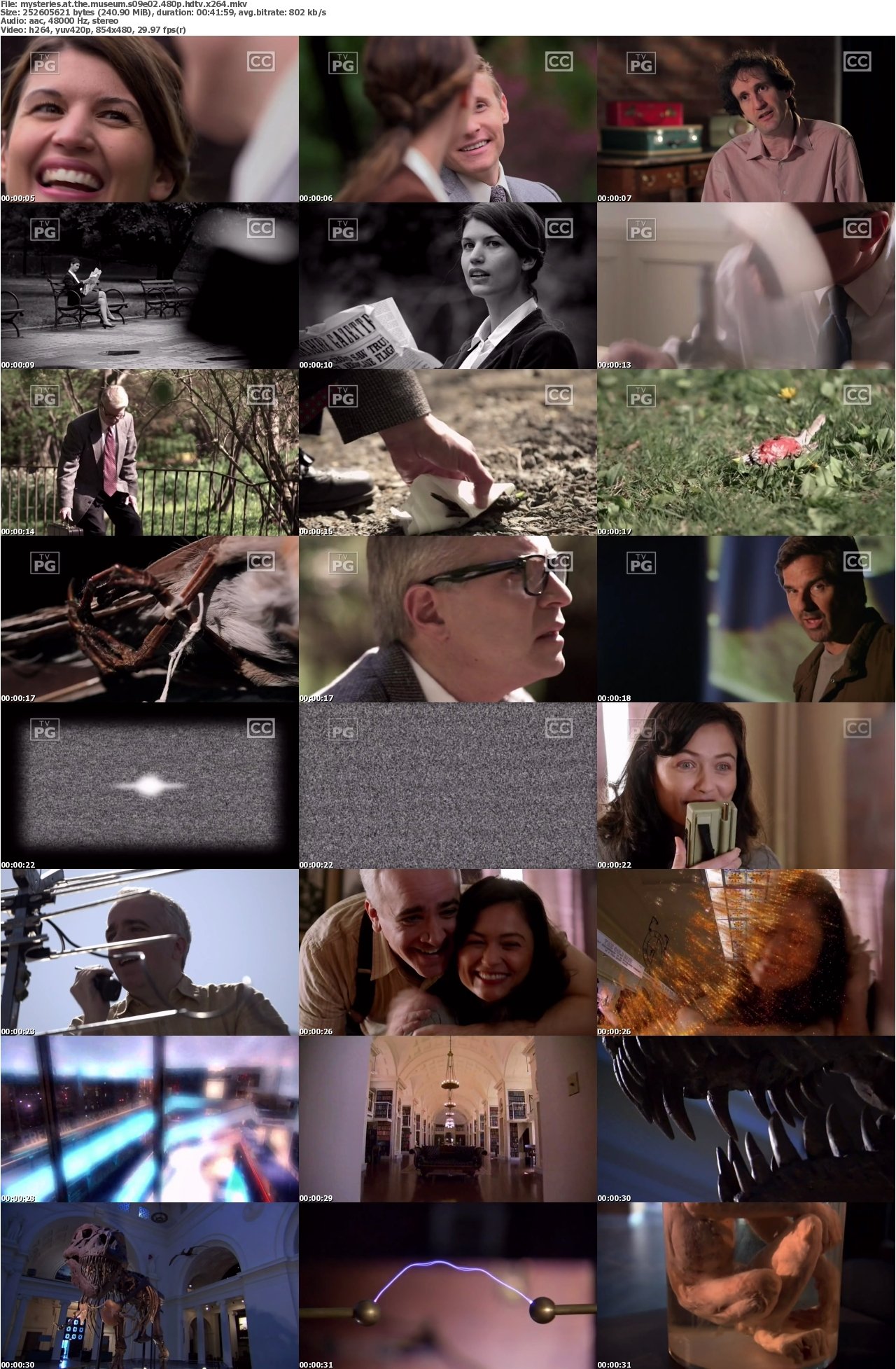 Mysteries at the Museum S09E02 480p HDTV x264