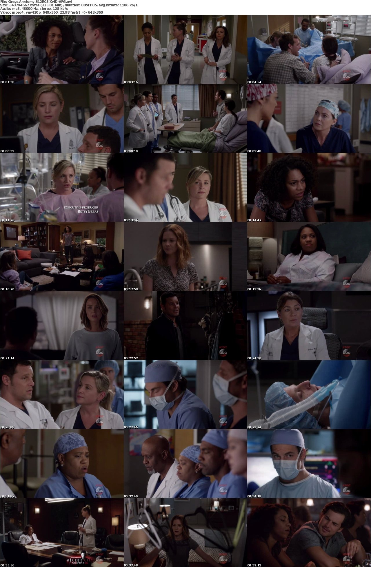 Greys Anatomy S12E03 XviD-AFG