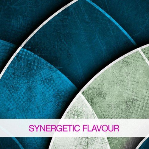 VA - Synergetic Flavour (2015)