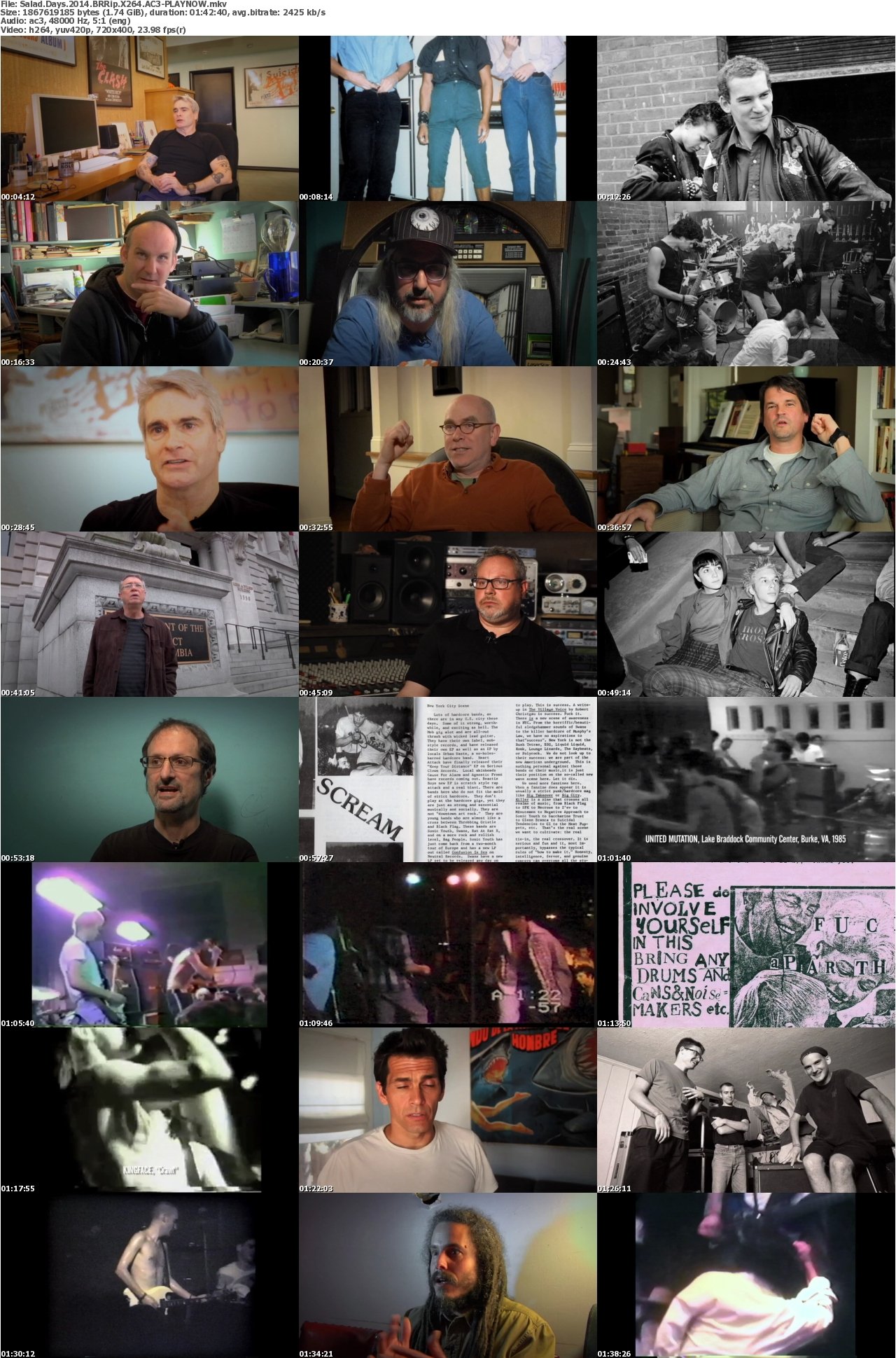 Salad Days 2014 BRRip X264 AC3-PLAYNOW