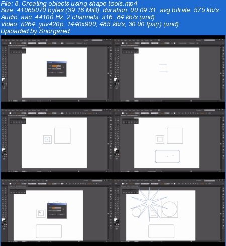 Digital-Tutors - Your First Day with Illustrator CC