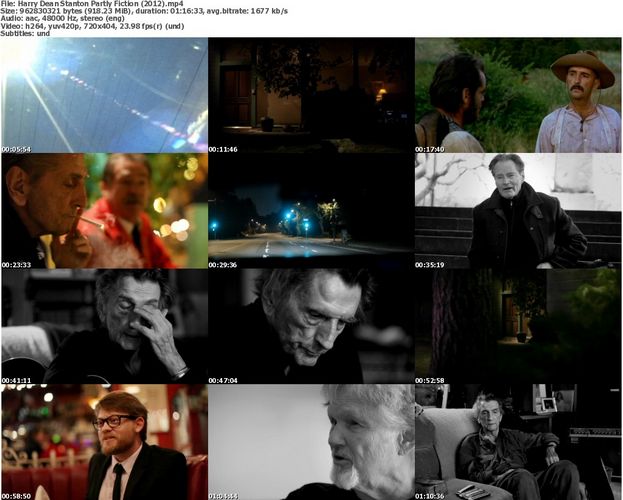 Harry Dean Stanton: Partly Fiction (2012)