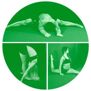 GymnasticBodies Stretch Course