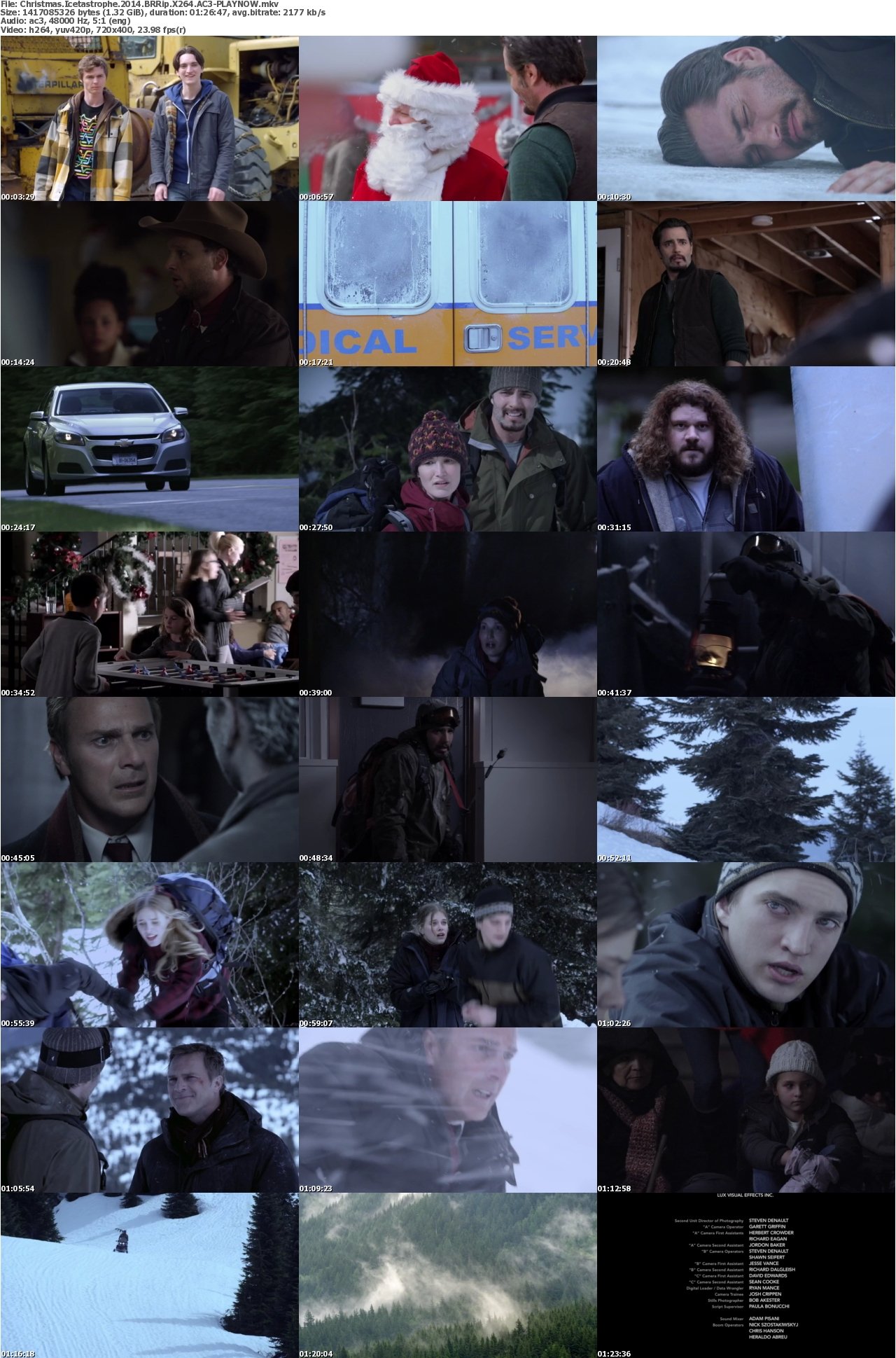 Christmas Icetastrophe 2014 BRRip X264 AC3-PLAYNOW