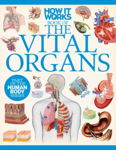 How It Works - The Vital Organs, 1st Edition
