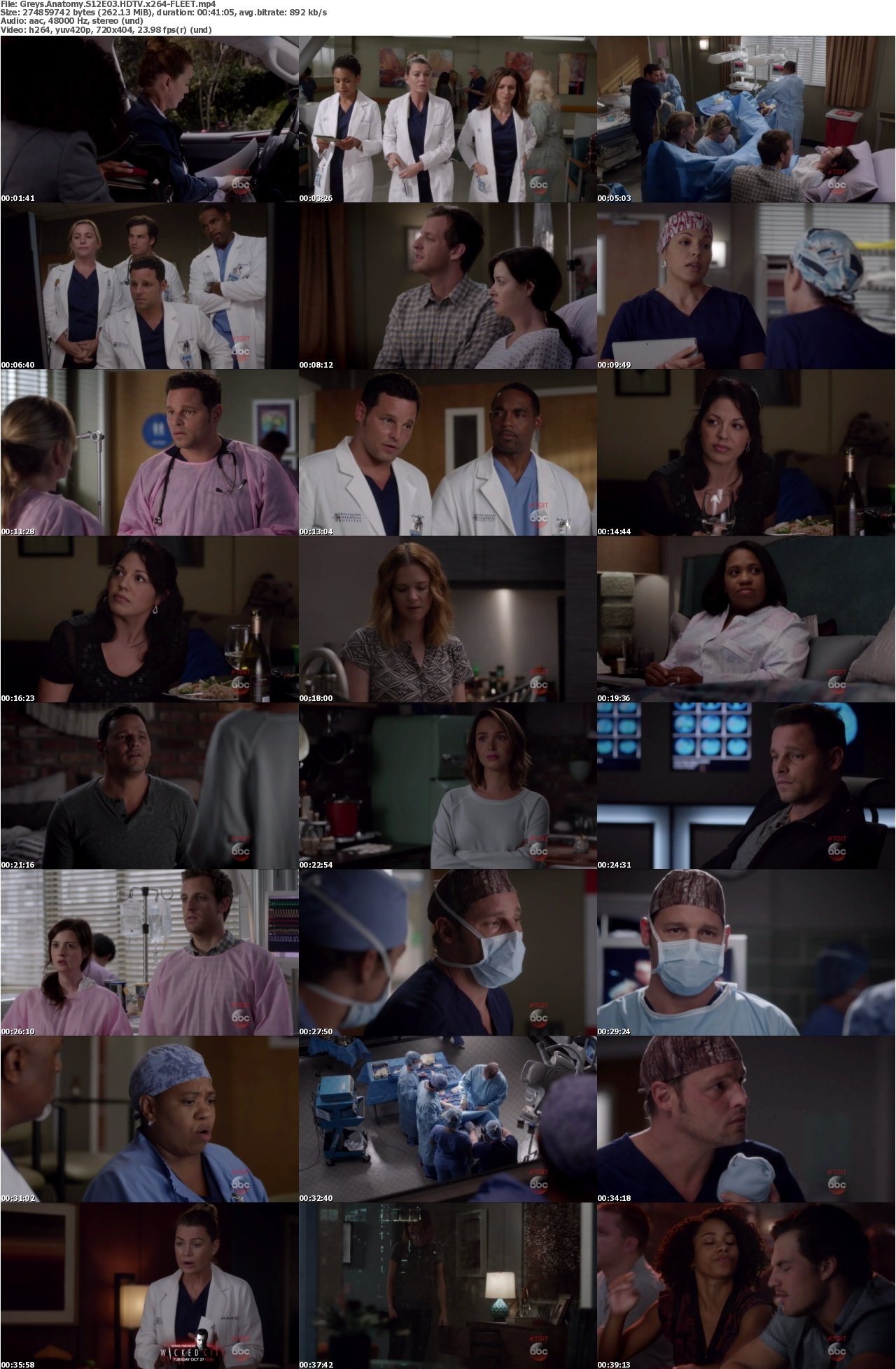 Greys Anatomy S12E03 HDTV x264-FLEET