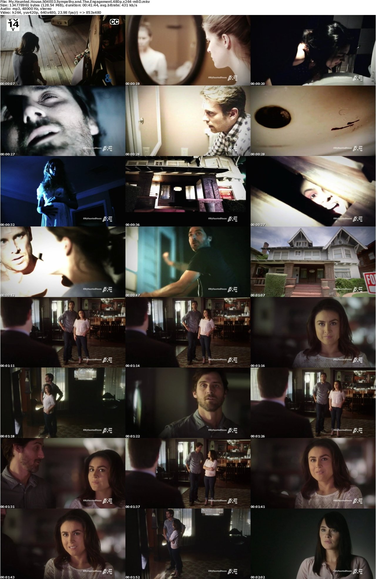 My Haunted House S04E03 Sympathy and The Engagement 480p x264-mSD