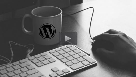 Udemy - Learn How To Use WordPress 4 in Easy Steps