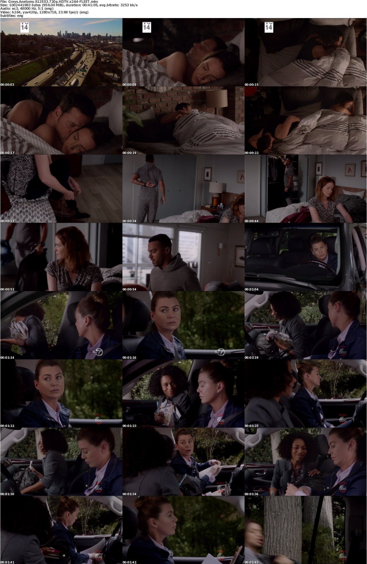 Greys Anatomy S12E03 720p HDTV x264-FLEET