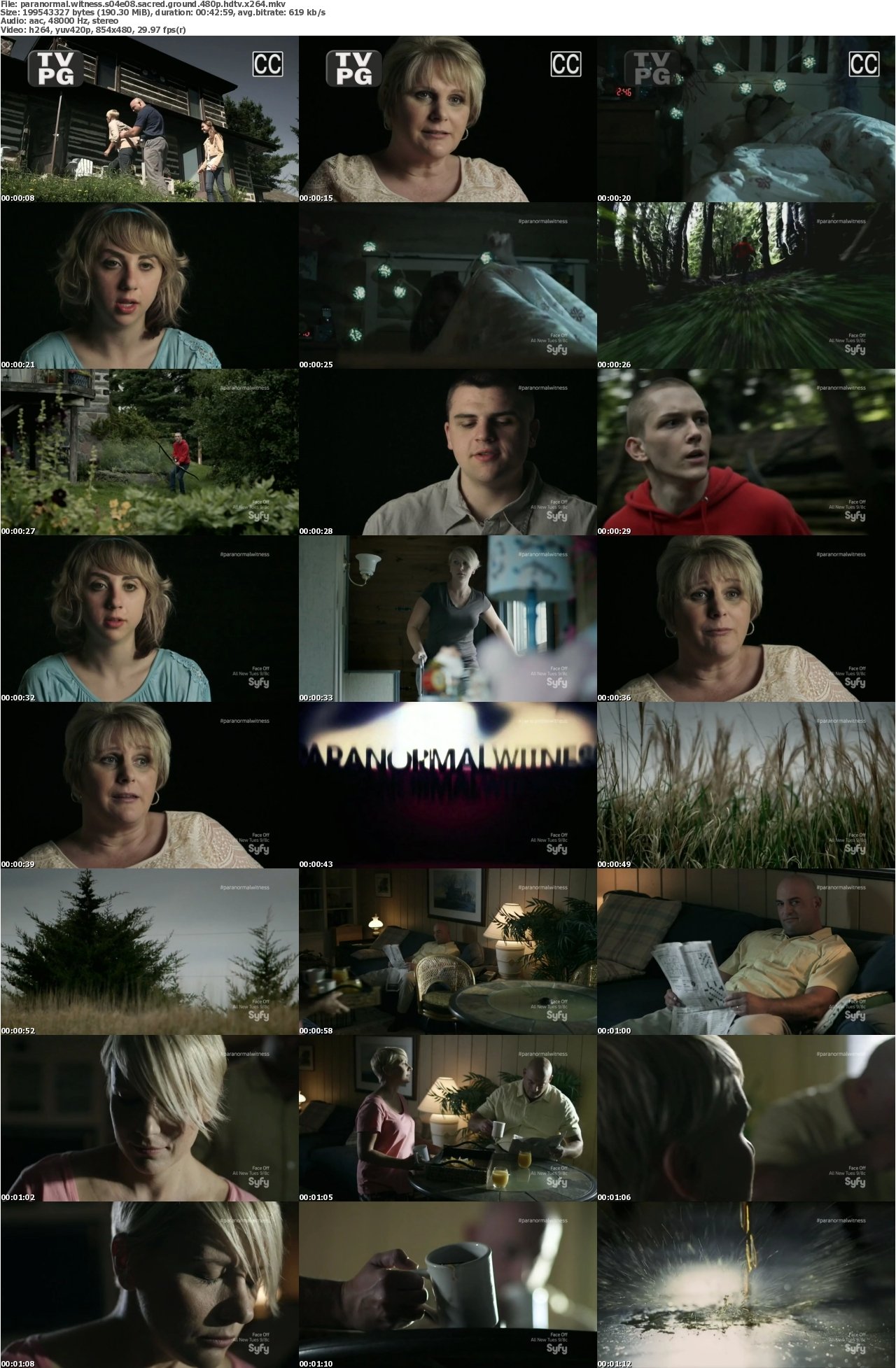 Paranormal Witness S04E08 Sacred Ground 480p HDTV x264