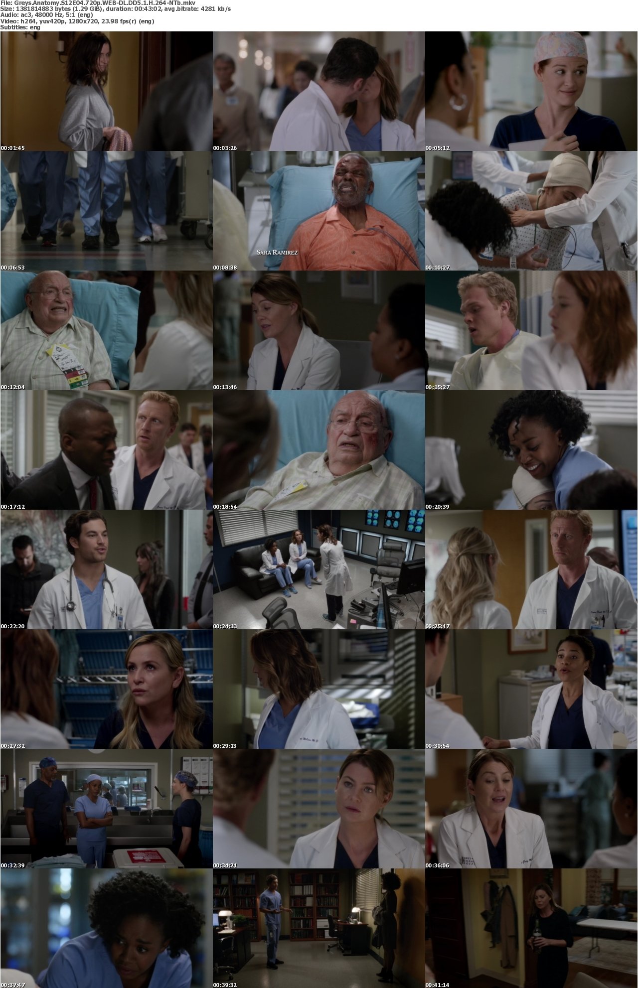Greys Anatomy S12E04 720p WEB-DL DD5 1 H 264-NTb