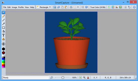 Desksoft SmartCapture v3.5.2 