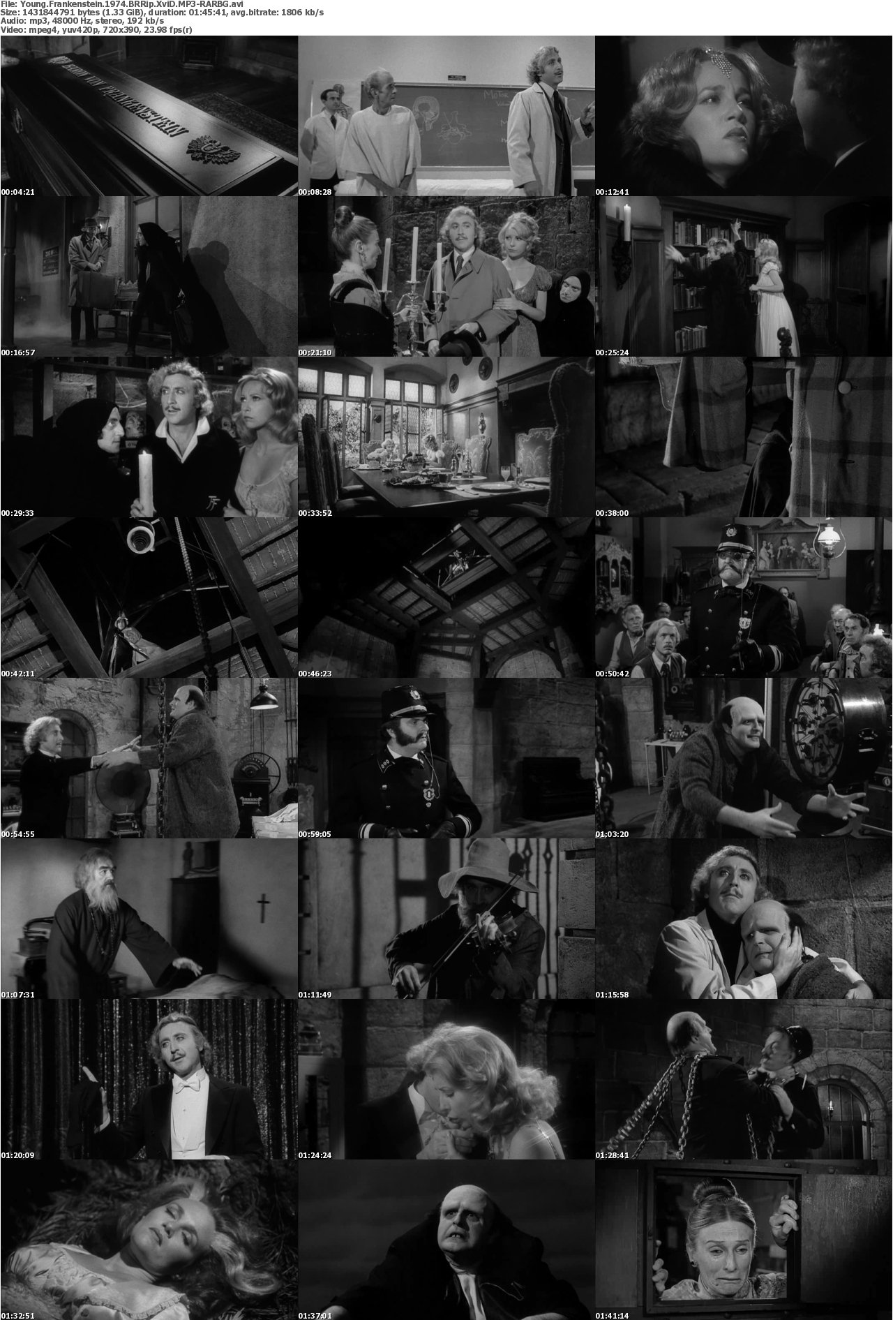 Young Frankenstein 1974 BRRip XviD MP3-RARBG