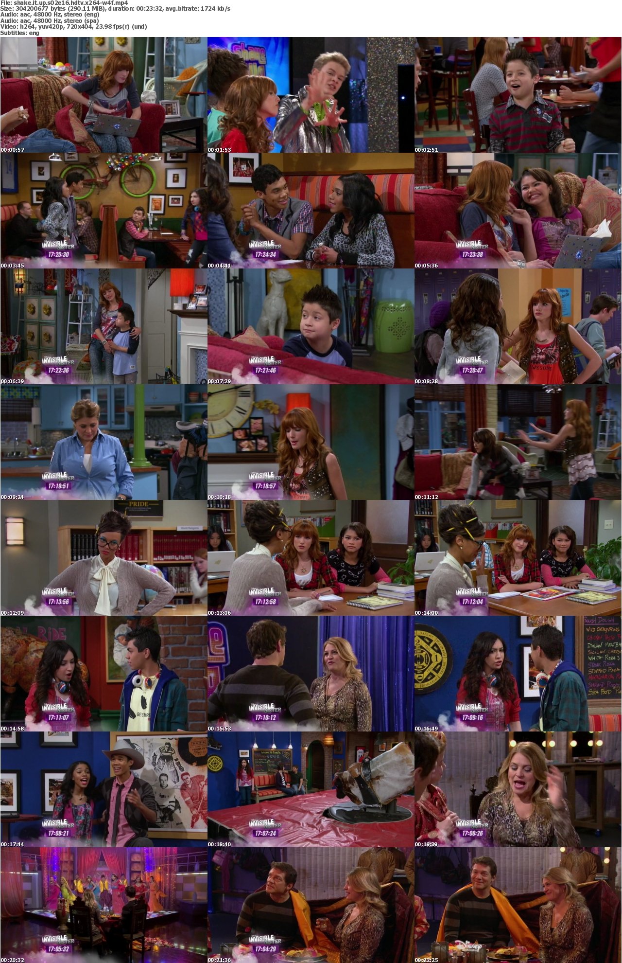 Shake It Up S02E16 HDTV x264-W4F