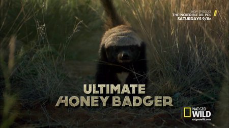 National Geographic Wild - Ultimate Honey Badger (2015)