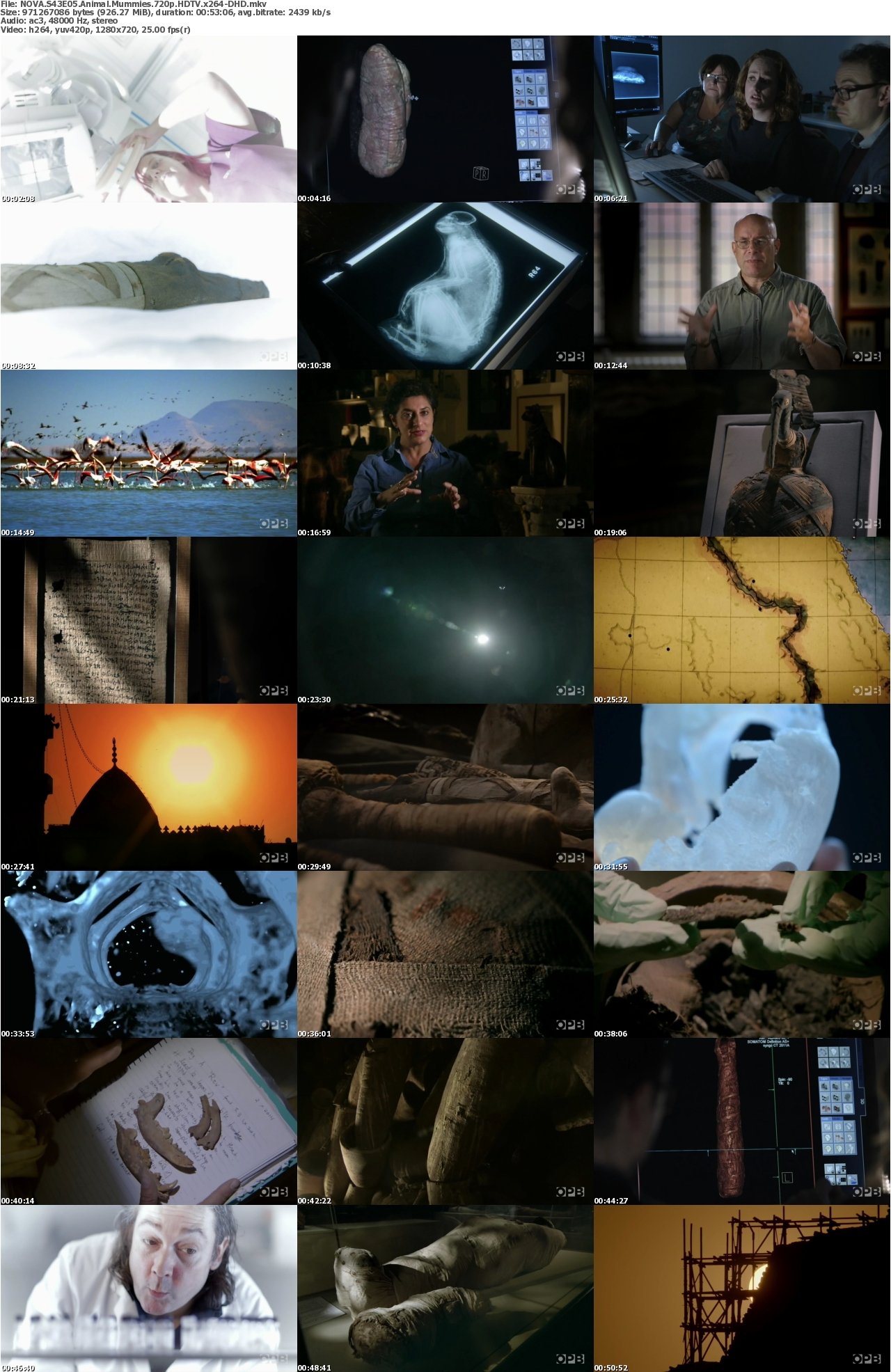 NOVA S43E05 Animal Mummies iNTERNAL 720p HDTV x264-DHD