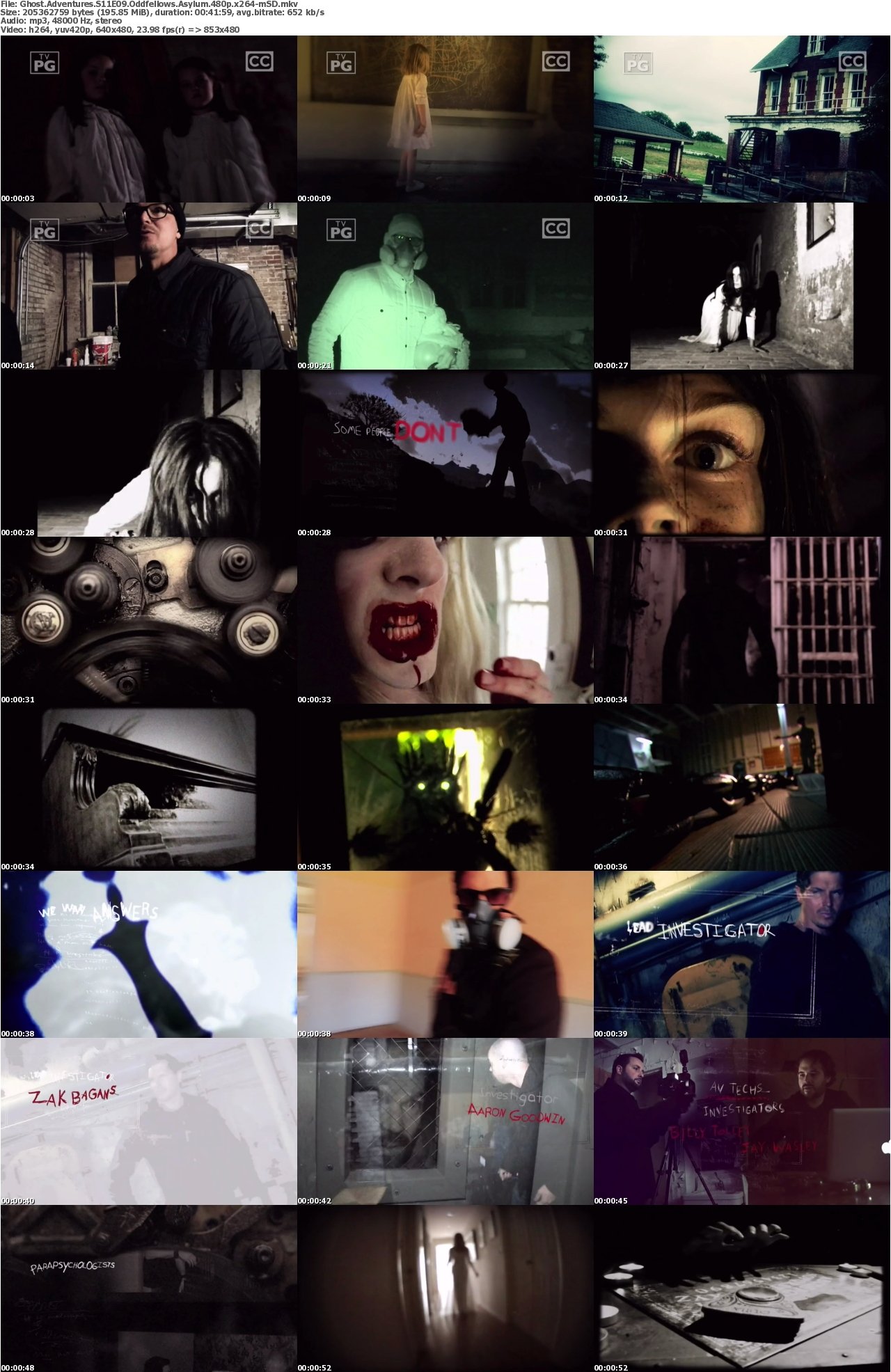 Ghost Adventures S11E09 Oddfellows Asylum 480p x264-mSD