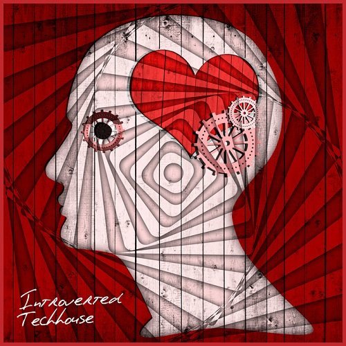 VA - Introverted Techhouse (2015)
