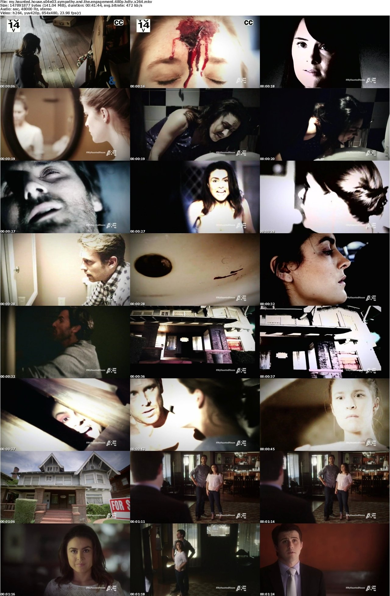 My Haunted House S04E03 Sympathy and The Engagement 480p HDTV x264