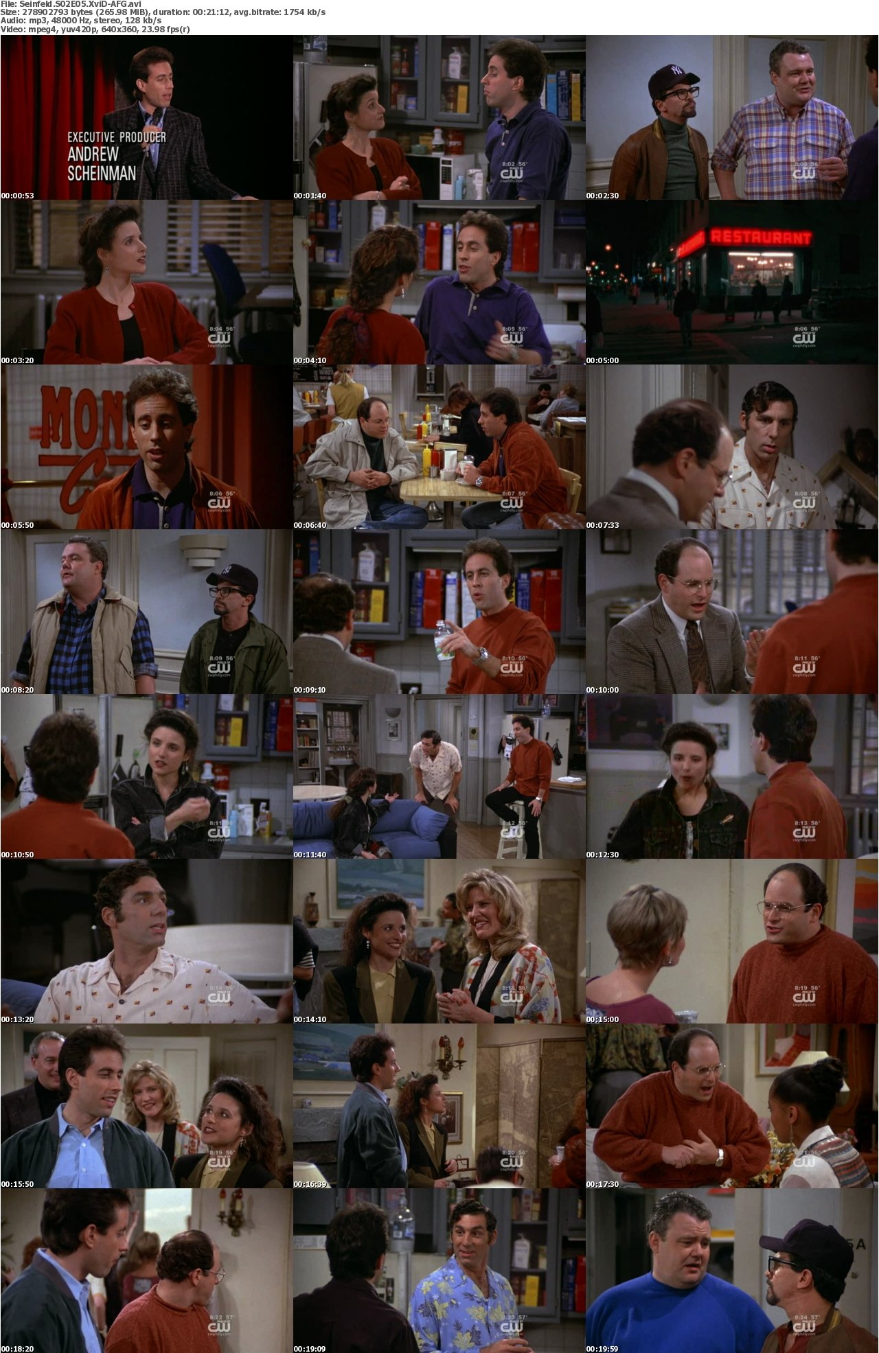 Seinfeld S02E05 XviD-AFG.
