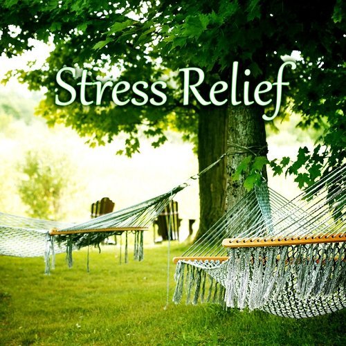VA - Stress Relief Soothing Sounds and Beautiful Piano Music for Lounge The Best Music for Restful (2015)