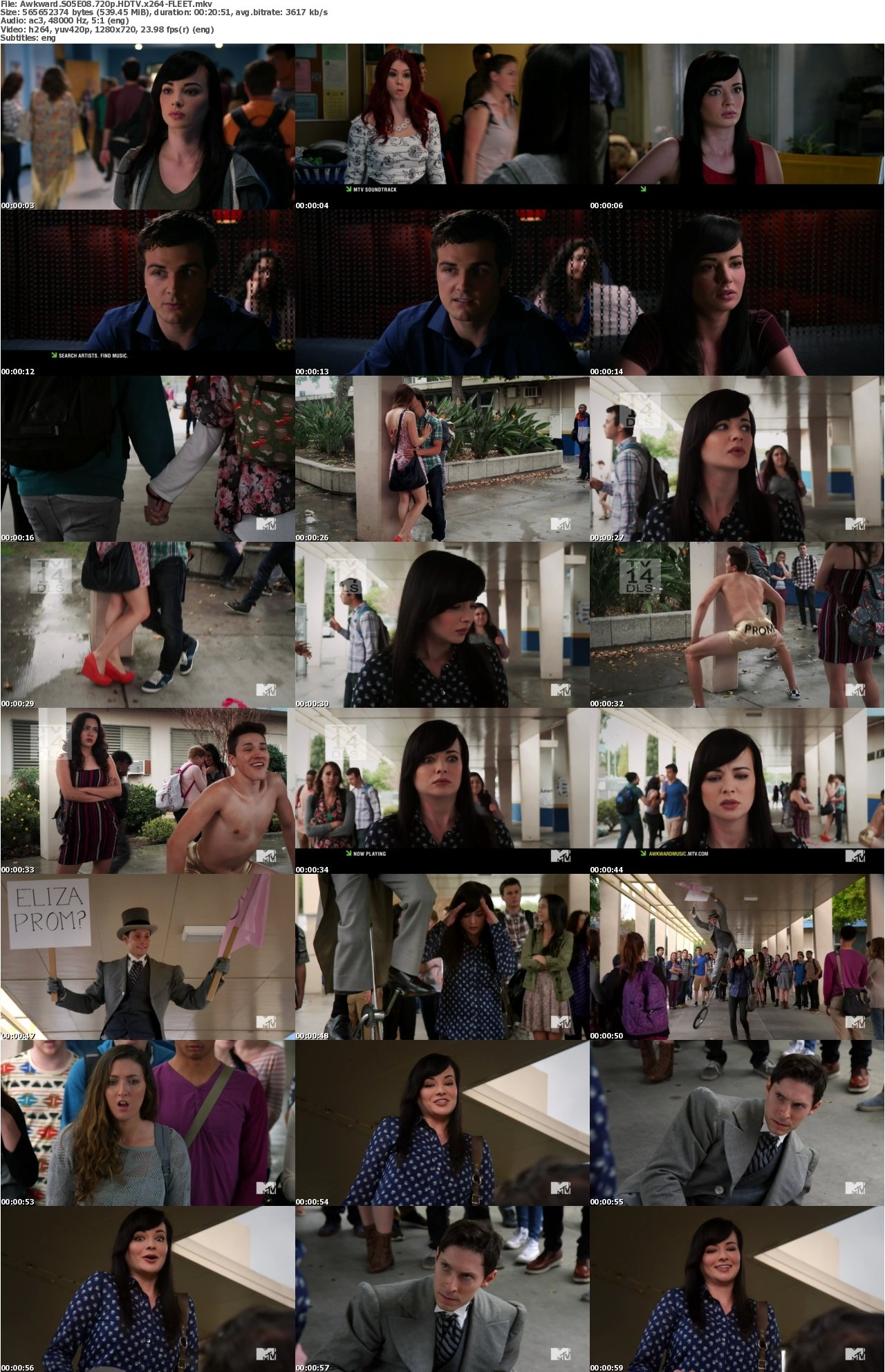 Awkward S05E08 720p HDTV x264-FLEET