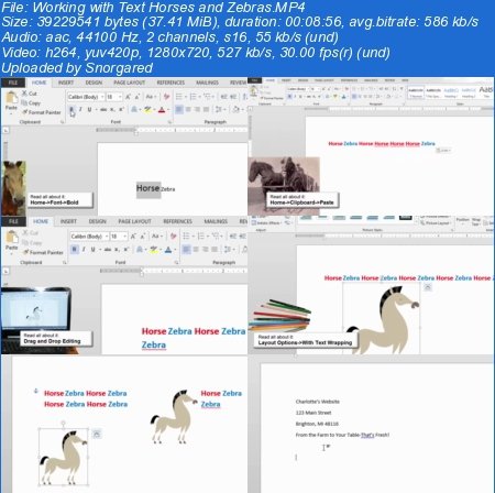 The Beginning Guide to Microsoft Word 2013