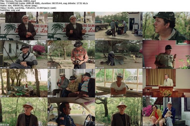 Vernon, Florida (1981)