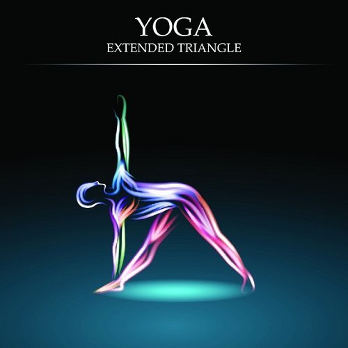 VA - Yoga Lessons Vol 6 - Extended Triangle Essential Chill out and Ambient Moods of Meditation (2015)