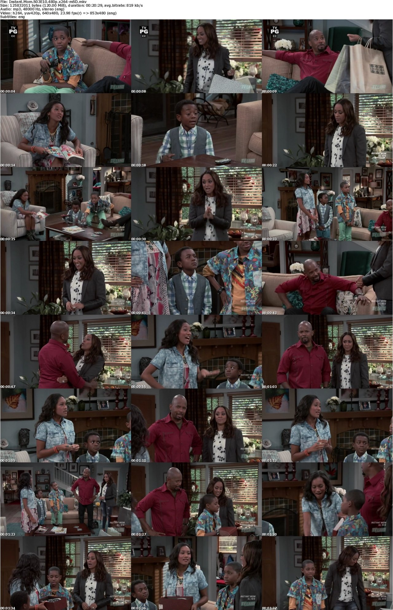 Instant Mom S03E10 480p x264-mSD