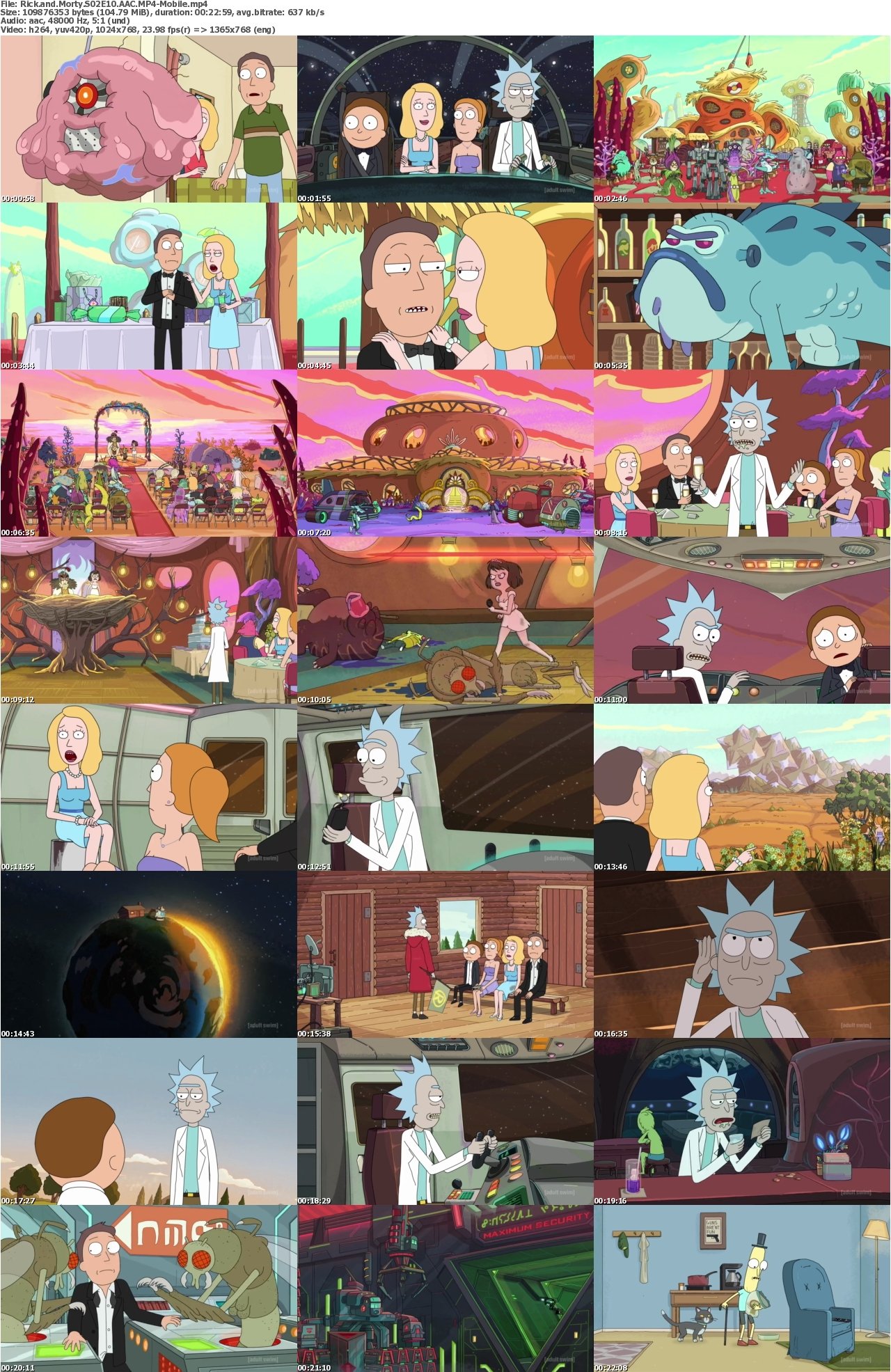 Rick and Morty S02E10 AAC MP4-Mobile