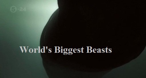 Channel 5 - World's Biggest Beasts (2015) PDTV x264-C4TV