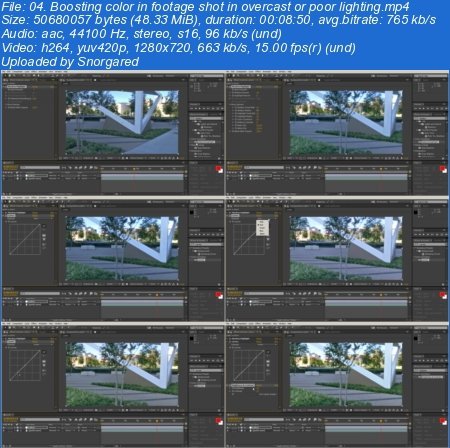 Digital-Tutors - Optimizing Video Footage in After Effects