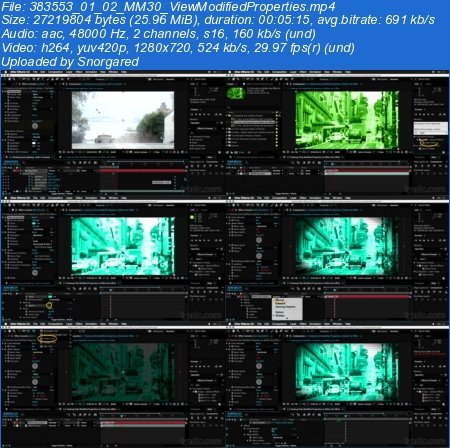 Lynda - After Effects Guru: Effects and Preset Management