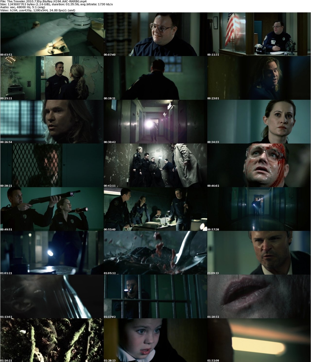 The Traveler 2010 720p BluRay H264 AAC-RARBG