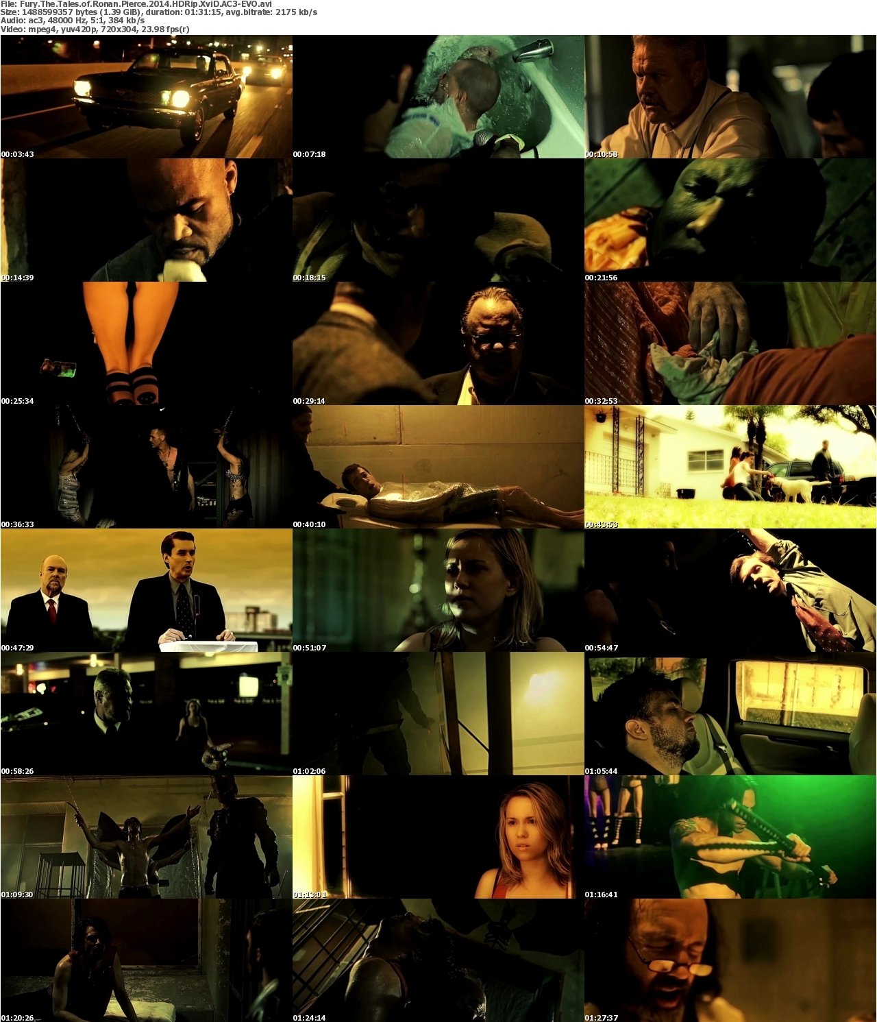 Fury The Tales of Ronan Pierce 2014 HDRip XviD AC3-EVO