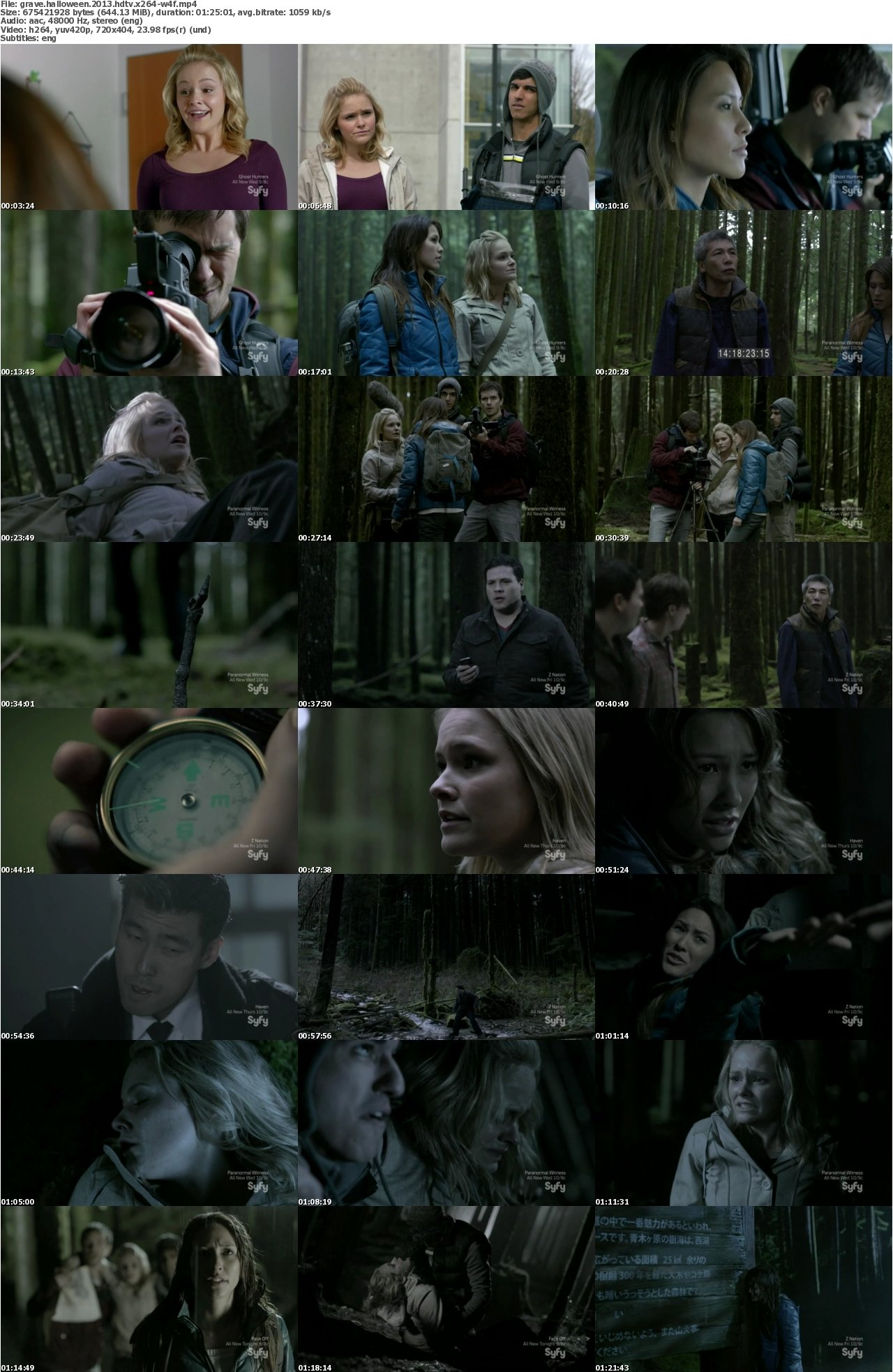 Grave Halloween 2013 HDTV x264-W4F