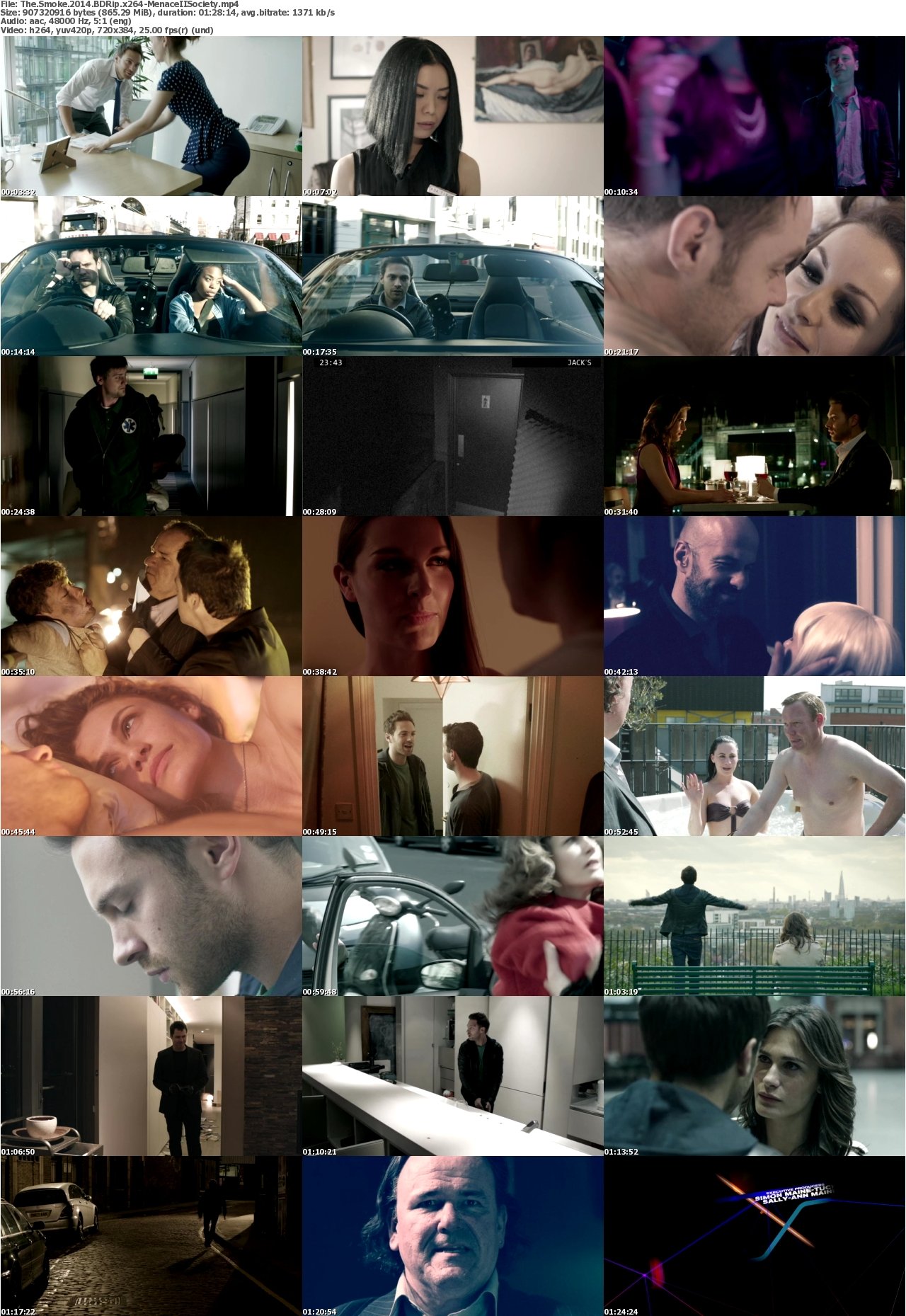 The Smoke 2014 BDRip x264-MenaceIISociety