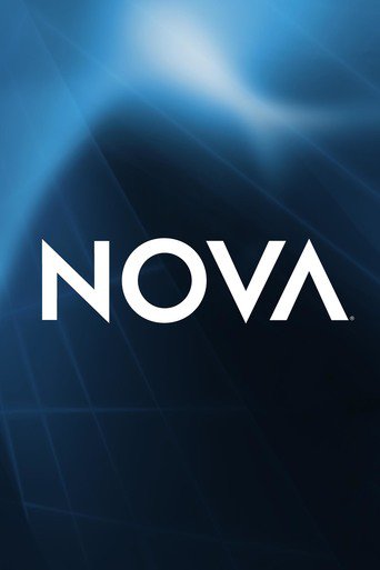 NOVA S43E04 CyberWar Threat 480p HDTV x264